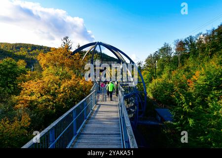 Baumwipfelpfad Bad Harzburg Blick am 11. Oktober 2024 auf dem Baumwipfelpfad Bad Harzburg im Harz. Bad Harzburg Niedersachsen Deutschland  JK19467 *** Baumwipfelweg Bad Harzburg Ansicht am 11. Oktober 2024 auf dem Baumwipfelweg Bad Harzburg im Harz Bad Harzburg Niedersachsen Deutschland JK19467 Stockfoto