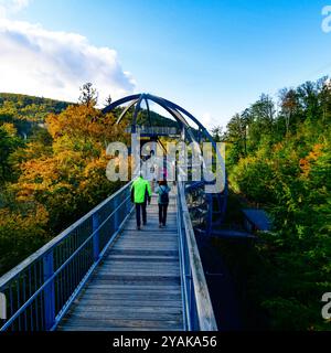 Baumwipfelpfad Bad Harzburg Blick am 11. Oktober 2024 auf dem Baumwipfelpfad Bad Harzburg im Harz. Bad Harzburg Niedersachsen Deutschland  JK19465 *** Baumwipfelweg Bad Harzburg Ansicht am 11. Oktober 2024 auf dem Baumwipfelweg Bad Harzburg im Harz Bad Harzburg Niedersachsen Deutschland JK19465 Stockfoto