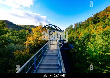 Baumwipfelpfad Bad Harzburg Blick am 11. Oktober 2024 auf dem Baumwipfelpfad Bad Harzburg im Harz. Bad Harzburg Niedersachsen Deutschland  JK19507 *** Baumwipfelweg Bad Harzburg Ansicht am 11. Oktober 2024 auf dem Baumwipfelweg Bad Harzburg im Harz Bad Harzburg Niedersachsen Deutschland JK19507 Stockfoto