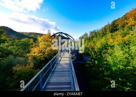 Baumwipfelpfad Bad Harzburg Blick am 11. Oktober 2024 auf dem Baumwipfelpfad Bad Harzburg im Harz. Bad Harzburg Niedersachsen Deutschland  JK19502 *** Baumwipfelweg Bad Harzburg Ansicht am 11. Oktober 2024 auf dem Baumwipfelweg Bad Harzburg im Harz Bad Harzburg Niedersachsen Deutschland JK19502 Stockfoto