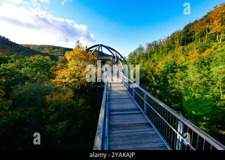 Baumwipfelpfad Bad Harzburg Blick am 11. Oktober 2024 auf dem Baumwipfelpfad Bad Harzburg im Harz. Bad Harzburg Niedersachsen Deutschland  JK19536 *** Baumwipfelweg Bad Harzburg Ansicht am 11. Oktober 2024 auf dem Baumwipfelweg Bad Harzburg im Harz Bad Harzburg Niedersachsen Deutschland JK19536 Stockfoto