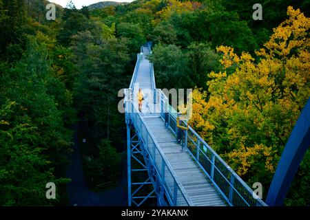 Baumwipfelpfad Bad Harzburg Blick am 11. Oktober 2024 auf dem Baumwipfelpfad Bad Harzburg im Harz. Bad Harzburg Niedersachsen Deutschland  JK19651 *** Baumwipfelweg Bad Harzburg Blick am 11. Oktober 2024 auf dem Baumwipfelweg Bad Harzburg im Harz Bad Harzburg Niedersachsen Deutschland JK19651 Stockfoto