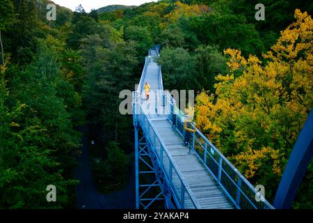 Baumwipfelpfad Bad Harzburg Blick am 11. Oktober 2024 auf dem Baumwipfelpfad Bad Harzburg im Harz. Bad Harzburg Niedersachsen Deutschland  JK19645 *** Baumwipfelweg Bad Harzburg Ansicht am 11. Oktober 2024 auf dem Baumwipfelweg Bad Harzburg im Harz Bad Harzburg Niedersachsen Deutschland JK19645 Stockfoto