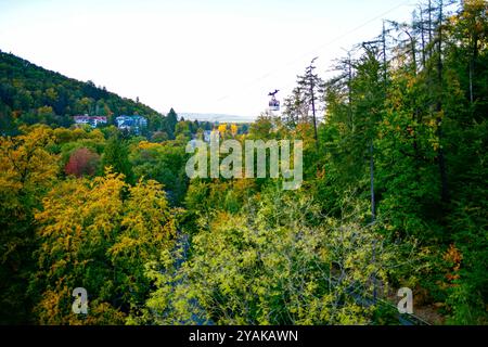 Baumwipfelpfad Bad Harzburg Blick am 11. Oktober 2024 auf dem Baumwipfelpfad Bad Harzburg im Harz. Bad Harzburg Niedersachsen Deutschland  JK19688 *** Baumwipfelweg Bad Harzburg Ansicht am 11. Oktober 2024 auf dem Baumwipfelweg Bad Harzburg im Harz Bad Harzburg Niedersachsen Deutschland JK19688 Stockfoto