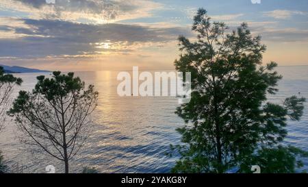 Fantastische Aussicht auf rosa Sonnenaufgang, Tannen (Nadelbäume) und die französische Riviera von Monaco Küste. Küstenlinie links - vielleicht italienische Küste Stockfoto