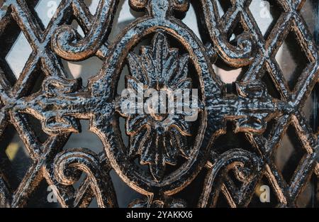 Detail der kunstvollen schmiedeeisernen Tür Stockfoto