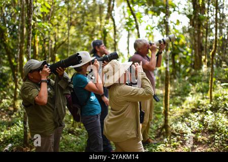 Gruppe von Vogelbeobachtern auf der Suche nach Arten in Sierra Nevada de Santa Marta mit Colombia Photo Expeditions, Kolumbien Stockfoto