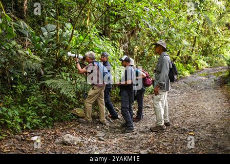 Gruppe von Vogelbeobachtern auf der Suche nach Arten in Sierra Nevada de Santa Marta mit Colombia Photo Expeditions, Kolumbien Stockfoto