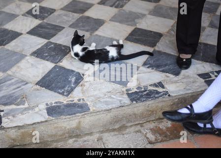 Quinta de San Pedro Alejandrino, wo Simon Bolivar seine letzten Tage verbrachte, Santa Marta, Kolumbien Stockfoto