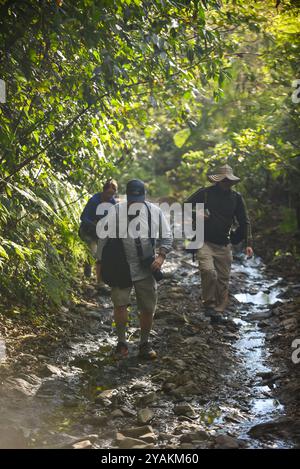Gruppe von Vogelbeobachtern auf der Suche nach Arten in Sierra Nevada de Santa Marta mit Colombia Photo Expeditions, Kolumbien Stockfoto