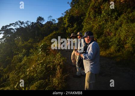 Gruppe von Vogelbeobachtern auf der Suche nach Arten in Sierra Nevada de Santa Marta mit Colombia Photo Expeditions, Kolumbien Stockfoto