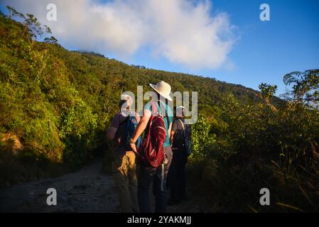 Gruppe von Vogelbeobachtern auf der Suche nach Arten in Sierra Nevada de Santa Marta mit Colombia Photo Expeditions, Kolumbien Stockfoto