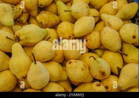 Nahaufnahme eines Haufens gelber Birnen. Stockfoto