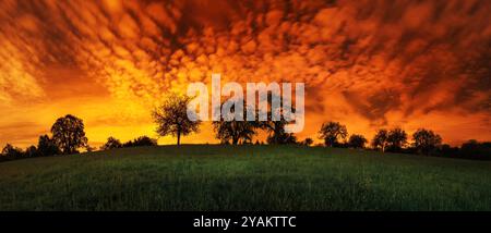 Silhouetten einer Reihe von Bäumen am Horizont mit dramatischem rotem Himmel. Intensives Nachglühen in einem surrealen Fantasy-Panorama Stockfoto