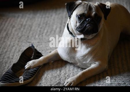 Alte Schuppen auf einem Plattenbauernhof im ländlichen Ontario mit Maschinen Stockfoto