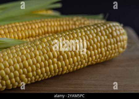 Makroaufnahme von reifem gelbem Mais auf dem Kolben mit Schalen, die natürliche Textur und Frische für Bio-Lebensmittel und gesunde Ernährungskonzepte hervorheben Stockfoto