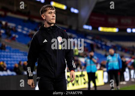 Cardiff, Großbritannien. Oktober 2024. Wales gegen Montenegro in der UEFA Nations League im Cardiff City Stadium am 14. Oktober 2024. Quelle: Lewis Mitchell/Alamy Live News Stockfoto