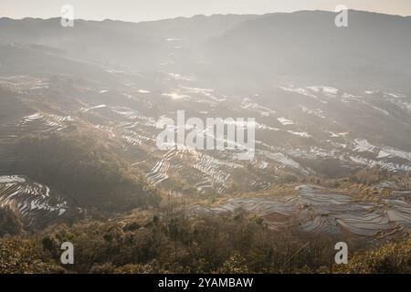 Sonnenuntergang über Bada-Reisterrassen in Yuanyang-Reisterrassen, Yunnan, China. Panoramabild Stockfoto