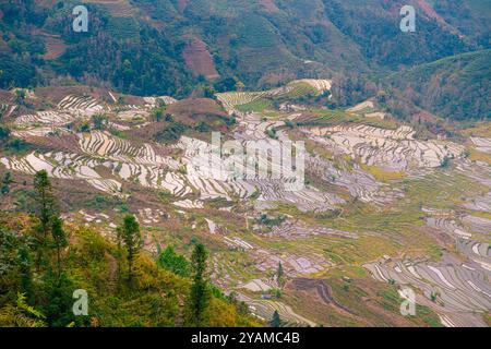 Wunderschöner Sonnenuntergang über Yuanyang Reisterrassen in Laohuzui Gegend, Yunnan, China. UNESCO-Weltkulturerbe Stockfoto