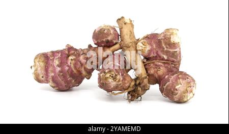 Nahaufnahme von frischen rohen Jerusalem-Artischocken mit rustikalem Aussehen, ideal für gesunde Kochen- und Ernährungskonzepte. Perfekt für Illustrationen Stockfoto