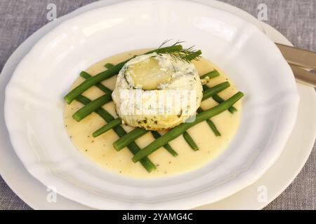 Schwäbische Küche, im Ofen gebackener Zander auf Prinzessinbohnen mit Zitronensauce, Fischgericht, Zanderfilet, Zucchini, grüne Bohnen, dill, Vorspeise, von t Stockfoto