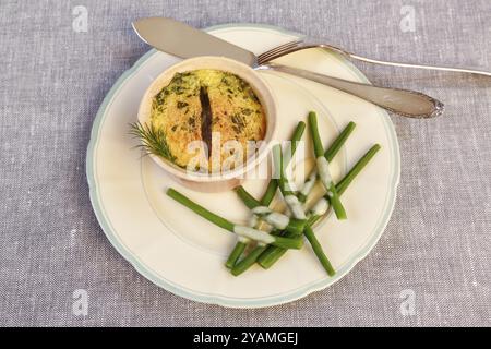 Schwäbische Küche, im Ofen gebackener Zander mit Prinzessinbohnen und Zitronensauce, Fischgericht, Zanderfilet, grüne Bohnen, Dill, Vorspeise, aus dem Ofen, r Stockfoto