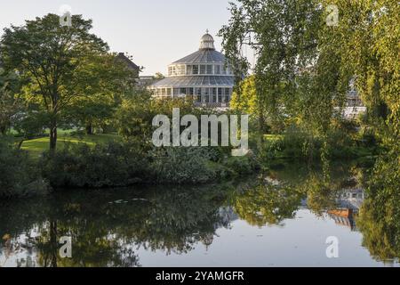 Großes Gewächshaus, Palmenhaus mit Glasfassade und Bäume spiegeln sich in einem ruhigen See unter blauem Himmel, Botanischer Garten oder Botanisk Have, Universität, Polizist Stockfoto