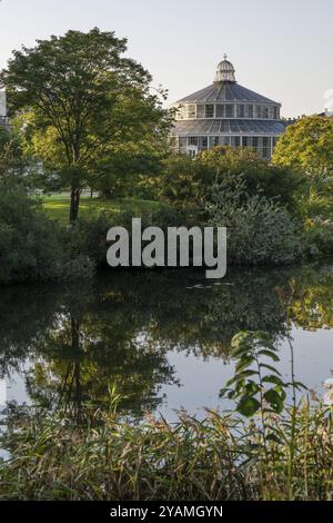 Großes Gewächshaus, Palmenhaus mit Glasfassade und Bäumen, Botanischer Garten oder Botanisk Have, Universität Kopenhagen, Dänemark, Europa Stockfoto