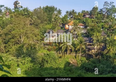 Blick auf den Sonnenuntergang auf Dschungel und Villen vom Campuhan Ridge Walk in Ubud, Bali, Indonesien, Asien Stockfoto