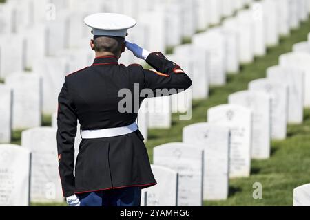 Ein ergreifender Moment entfaltet sich, während ein Marine Wasserhahn spielt, einen gefallenen Veteranen mit einem feierlichen Gruß ehrt, um seine Internierung bei einem nationalen Militär zu markieren Stockfoto