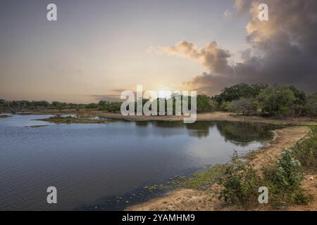 Das älteste Naturschutzgebiet in einer fantastischen Landschaft. Natürliche Umgebung am Morgen bei Sonnenaufgang. Natur pur in der Steppenlandschaft von Yala Nation Stockfoto