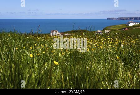 Tintagel (Cornish Dintagell oder Tre war Venydh) ist ein Dorf an einem zerklüfteten Küstenabschnitt in der Grafschaft Cornwall im äußersten Südwesten Englands. Stockfoto