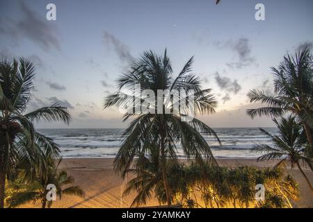 Strand, mit plamen und Vegetation, Blick auf das Meer am Abend bei Sonnenuntergang. Landschaft mit Wolken in Induruwa, Bentota Beach, Sri Lanka, Indien, Asien Stockfoto