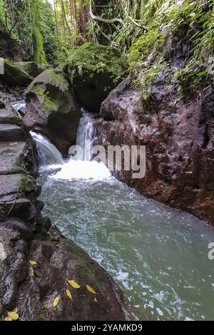 Blick auf einen Gebirgsfluss und Wasserfall im heiligen Affenwald in Ubud, Bali, Indonesien, Asien Stockfoto