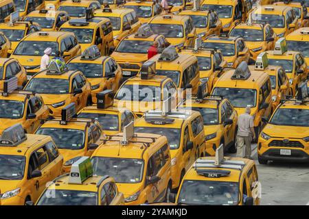 Gelbe Taxis stehen am Flughafen LaGuardia an, bevor sie ihre Fahrpreise abholen Stockfoto