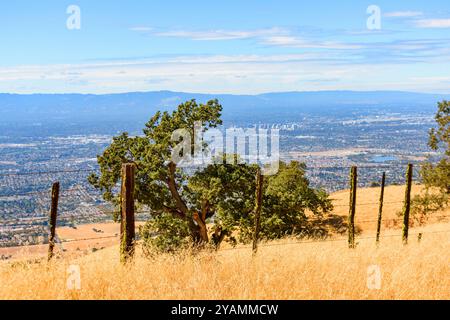 Ein Stacheldrahtzaun verläuft durch goldenes Gras auf einem Hügel im Joseph D. Grant County Park mit Blick auf das Silicon Valley und die weit entfernten Berge unter einem c Stockfoto