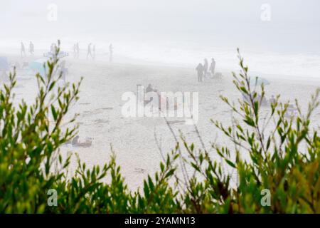 Nebeliger Tag am Carmel Beach mit verstreuten Strandgängern, die sich entspannen und entlang der Küste spazieren gehen, teilweise von weichem Nebel verdeckt - Kalifornien, USA - Octo Stockfoto