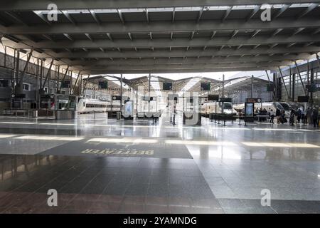 Der Hochgeschwindigkeitszug fährt am Bahnhof Maria Zambrano in Malaga an, dem Drehkreuz der Bahnreisen in Andalusien, Spanien und Europa Stockfoto