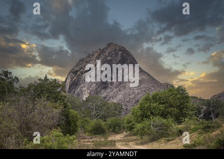 Das älteste Naturschutzgebiet in einer fantastischen Landschaft. Natürliche Umgebung am Morgen bei Sonnenaufgang. Natur pur in der Steppenlandschaft von Yala Nation Stockfoto