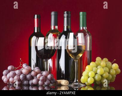 Mehrere Flaschen weiß- und Rotwein, zwei Gläser und Trauben auf rotem Hintergrund Stockfoto