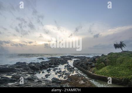 Strand, mit Lavasteinen und Vegetation, Blick auf das Meer am Abend bei Sonnenuntergang. Landschaft mit Wolken in Induruwa, Bentota Beach, Sri Lanka, Indien, A Stockfoto