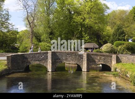 Die alte Brücke an der Forellenfarm über den Fluss Coln in Bibury in den englischen Cotswolds Stockfoto