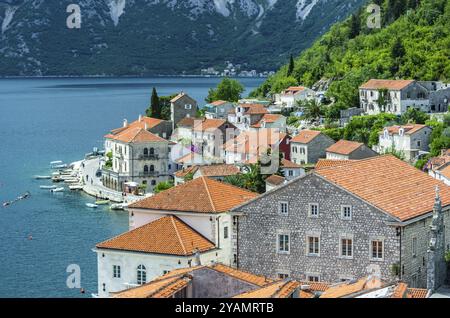 Top-Luftbild am Sommertag in Montenegro über die Altstadt von Perast und der Bucht von Kotor Stockfoto