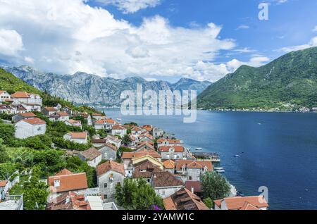 Top-Luftbild am Sommertag in Montenegro über die Altstadt von Perast und der Bucht von Kotor Stockfoto