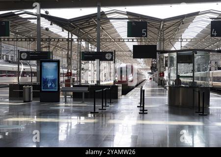 Der Hochgeschwindigkeitszug fährt am Bahnhof Maria Zambrano in Malaga an, dem Drehkreuz der Bahnreisen in Andalusien, Spanien und Europa Stockfoto