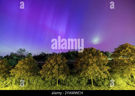 Herrliche Farben des Himmels mit Nordlichtern über einer Reihe von Bäumen bei Nacht, Allensbach, Bodensee, Baden-Württemberg, Deutschland, Europa Stockfoto