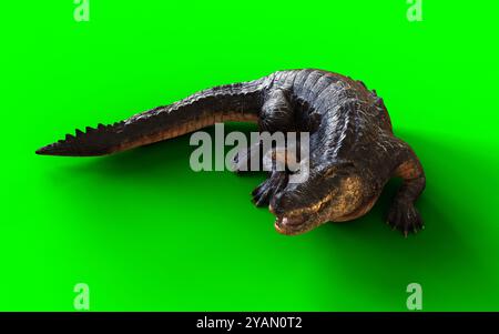 3D-Illustration eines dunklen amerikanischen Krokodils isoliert auf grünem Hintergrund, Animal Hunting Motion. Stockfoto