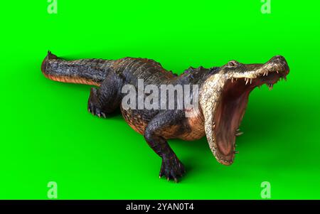 3D-Illustration eines dunklen amerikanischen Krokodils isoliert auf grünem Hintergrund, Animal Hunting Motion. Stockfoto