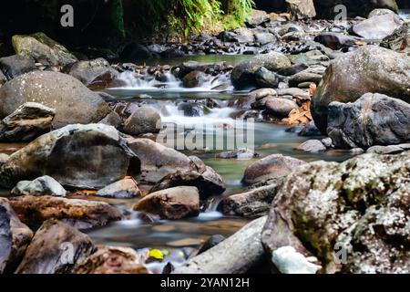 Fluss fließt auf felsigem Fluss. Wunderschöne Landschaft des Gebirgsflusses. Fluss fließt zwischen Felsen. Stockfoto