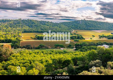 Natur und Felder auf der Insel Porquerolles, im Var, in der Provence, Frankreich Stockfoto